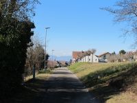 IMG_0471